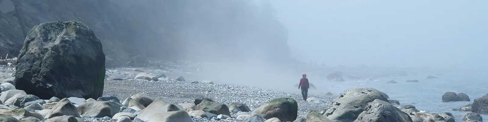 Coaching and Consulting Services | Amy Kosterlitz Person walking along a misty rocky beach, representing perspective and purposeful direction through Amy Kosterlitz’s leadership and career coaching services.